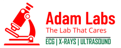 Adam Labs